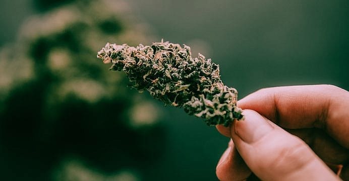 Rubicon Organics Inc (OTCMKTS:ROMJF) Will Sell Dried Cannabis To Canacur GmbH For 3 Years